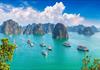 Int’l search volume for Vietnam sharply increases