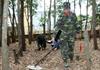 Quang Binh works hard on bomb and mine clearance