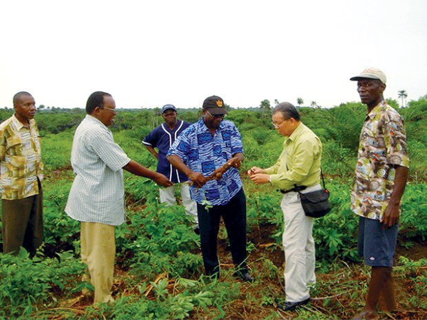 Việt Nam sẵn sàng chuyển giao kỹ thuật trồng lúa cho các nước châu Phi
