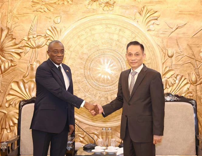 Viet Nam, Ivory Coast further deepen friendship, cooperation