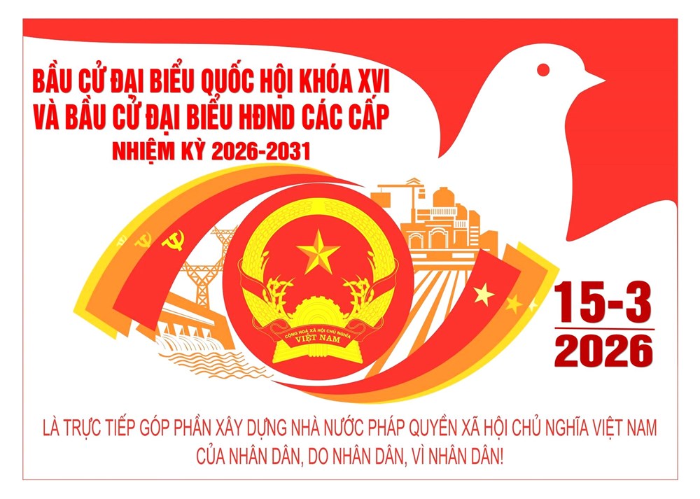 Tổng Thư ký Hội hữu nghị Brazil - Việt Nam: Quốc hội khóa XVI sẽ tiếp tục thúc đẩy Việt Nam phát triển