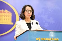 Đề nghị Hoa Kỳ đánh giá khách quan về Việt Nam trong bảo hộ quyền sở hữu trí tuệ