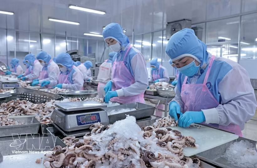 Viet Nam’s long-term investment appeal remains intact: EuroCham